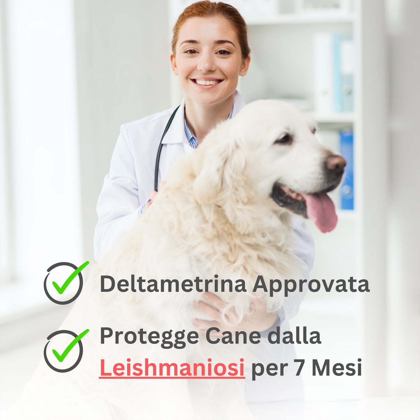 Collare Antiparassitario Per Cani di Alta Qualità (Per Cane > 8kg)