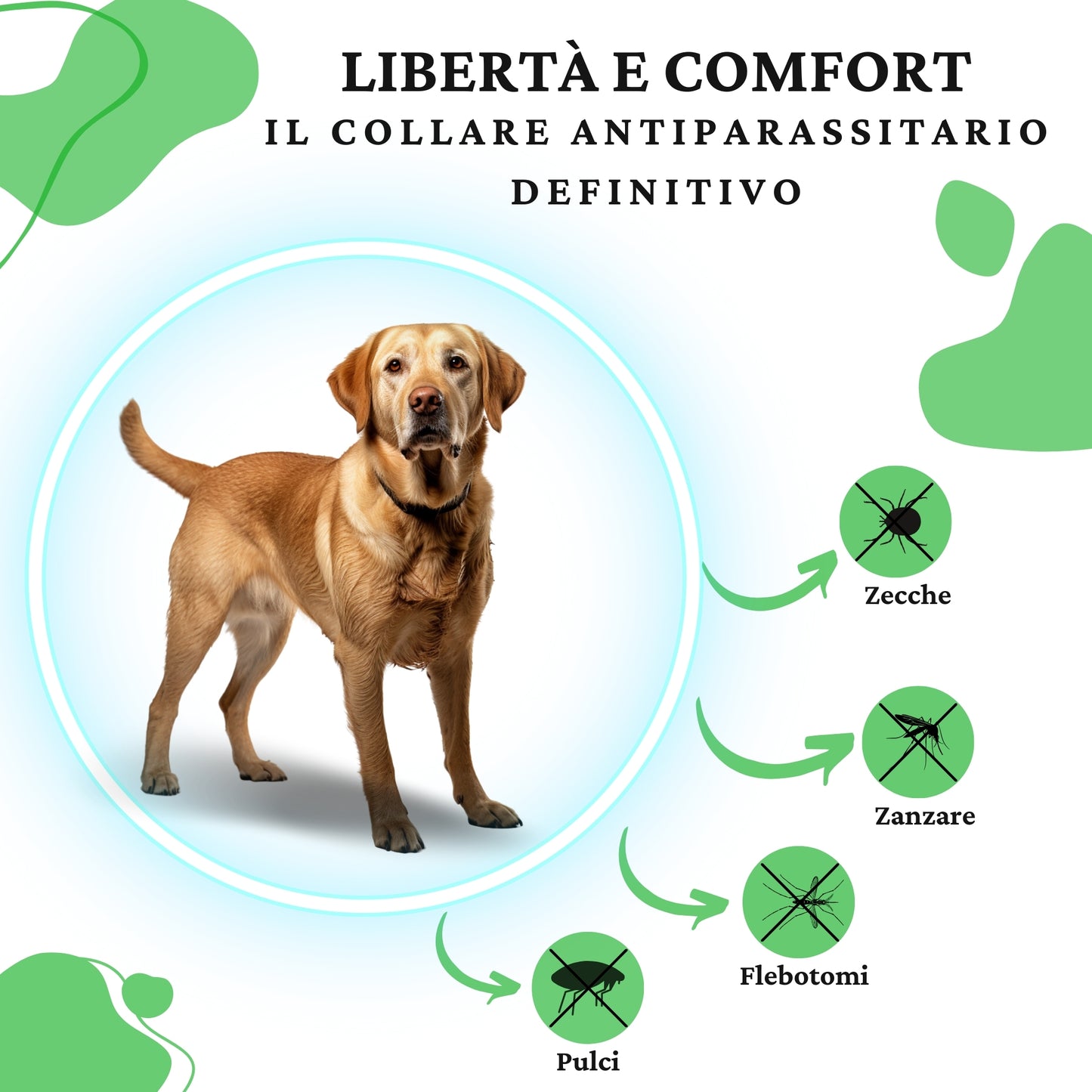 Collare Antiparassitario Per Cani di Alta Qualità (Per Cane > 8kg)